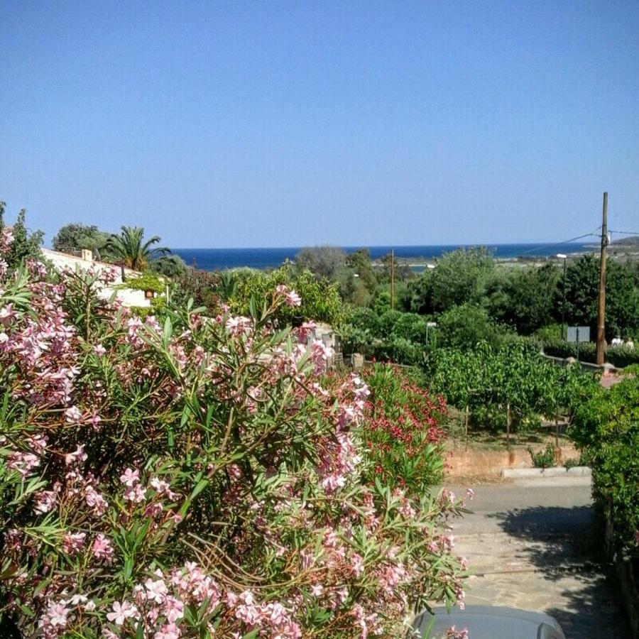 산테오도로 Cala D'Ambra E Ogliastra 빌라 외부 사진